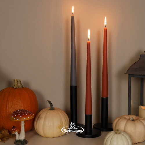 Высокие свечи Андреа Velvet 30 см, 5 шт, терракотовые Candleslight
