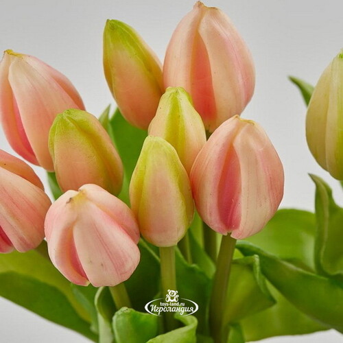 Силиконовые тюльпаны Hidalgo 9 шт, 29 см нежно-розовые EDG