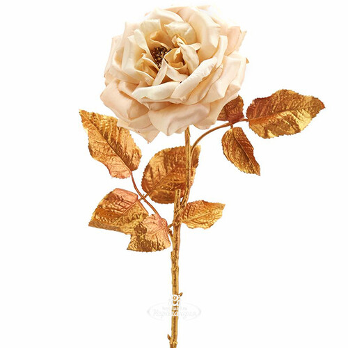 Искусственная роза Глория Деи 57 см, шампань EDG