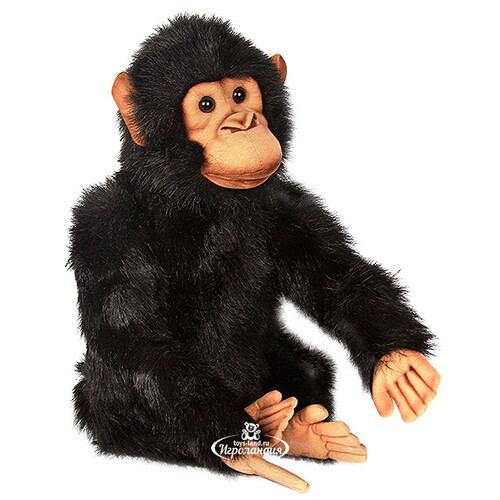 Мягкая игрушка Шимпанзе 35 см Hansa Creation