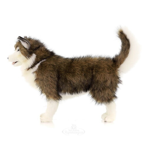Мягкая игрушка Собака породы Сибирский Хаски стоящая 40 см Hansa Creation