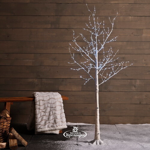 Светодиодное дерево Белая Береза 180 см, 600 холодных белых микро LED ламп, IP44 Kaemingk