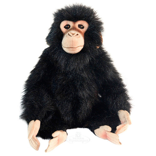 Мягкая игрушка Шимпанзе 24 см Hansa Creation
