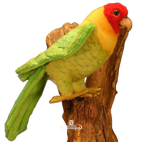 Мягкая игрушка Каролинский попугай 17 см Hansa Creation