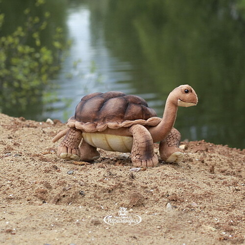 Мягкая игрушка Галапагосская черепаха 30 см Hansa Creation