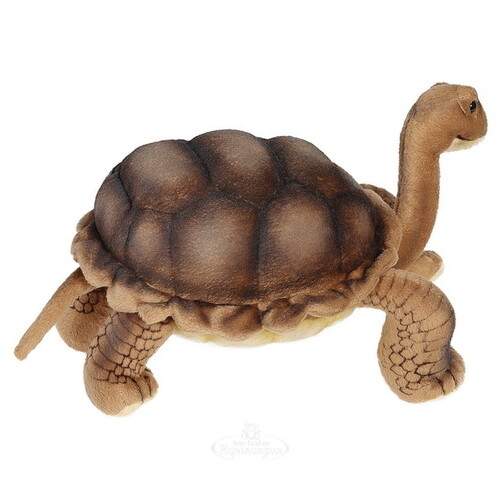 Мягкая игрушка Галапагосская черепаха 30 см Hansa Creation