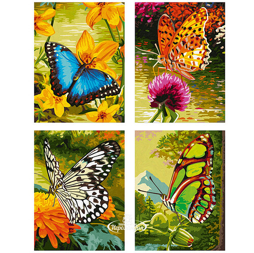 Набор картин по номерам "Бабочки", 18*24 см, 4 шт Schipper
