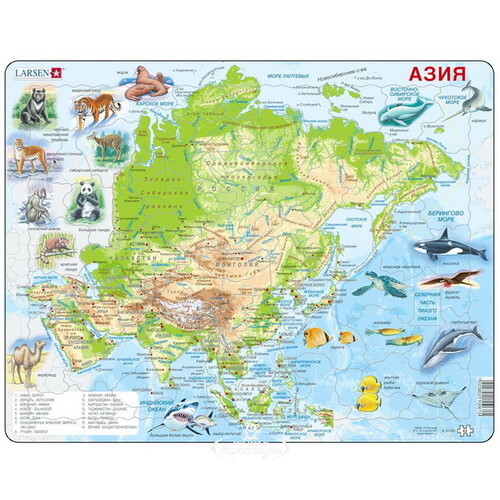 Пазл Карты и Континенты - Азия с животными, 63 элемента, 36*28 см LARSEN