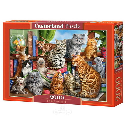 Пазл Кошки, 2000 элементов Castorland