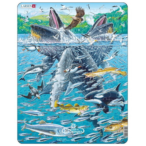 Детский пазл Горбатые киты в стае сельди, 140 элементов LARSEN