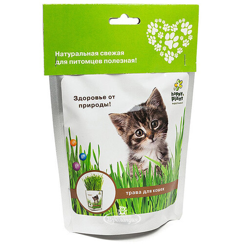 Набор для выращивания Накорми своего питомца, для кошек Happy Plant