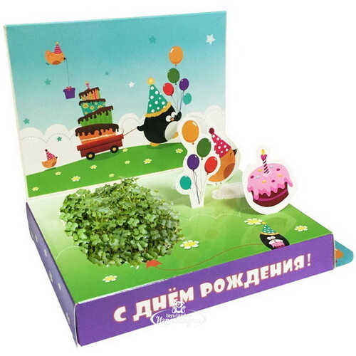 Подарочный набор Живая открытка - С Днём рождения, с пингвинчиком Happy Plant