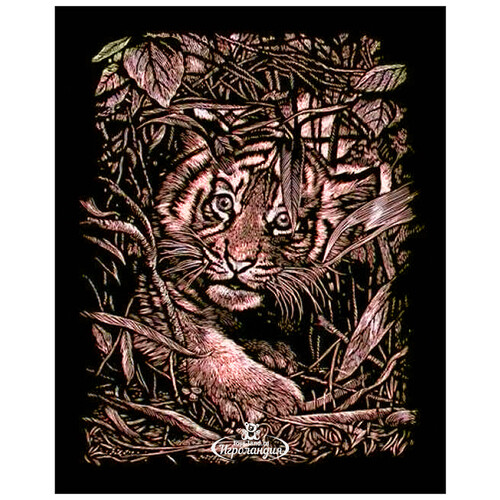 Гравюра медная "Спрятавшийся тигр", 20*30 см Reeves