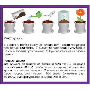 Набор для выращивания растения Физалис Rostokvisa фото 4