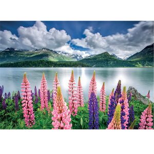 Пазл Люпины на берегу озера Зильс, Швейцария, 1500 элементов Educa фото 1