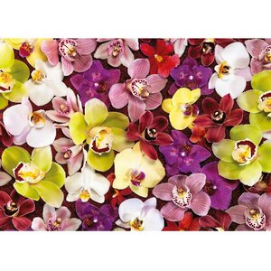 Пазл Коллаж из орхидей, 1000 элементов Educa фото 1