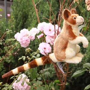 Мягкая игрушка Древесный кенгуру 23 см Hansa Creation фото 5