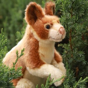 Мягкая игрушка Древесный кенгуру 23 см Hansa Creation фото 2