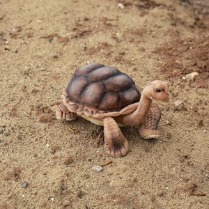Мягкая игрушка Галапагосская черепаха 30 см Hansa Creation фото 3
