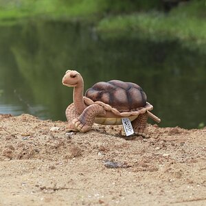 Мягкая игрушка Галапагосская черепаха 30 см Hansa Creation фото 4