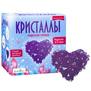 Набор для выращивания кристаллов Чудесное Сердце, фиолетовое Bumbaram фото 1