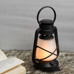 Светодиодный фонарь с имитацией пламени Odrey Riberta 22*14 см, на батарейках Koopman фото 1