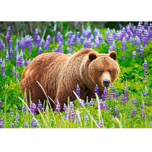 Пазл Медведь на лугу, 120 деталей Castorland фото 1