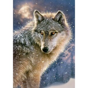 Пазл Волк, 500 элементов Castorland фото 1