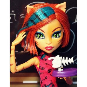 Кукла Торалей Страйп Страшная Экскурсия (Monster High) Mattel фото 3