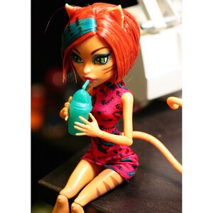 Кукла Торалей Страйп Страшная Экскурсия (Monster High) Mattel фото 4