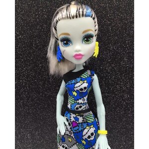 Кукла Фрэнки Штейн базовая - перевыпуск 26 см (Monster High) Mattel фото 6