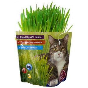 Набор для выращивания Трава для кошек Happy Plant фото 1
