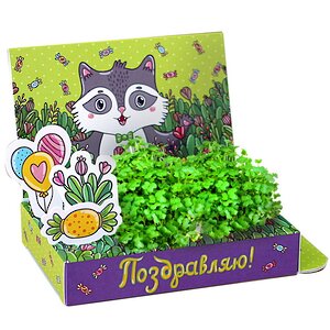 Подарочный набор Живая открытка - Поздравляю Happy Plant фото 1