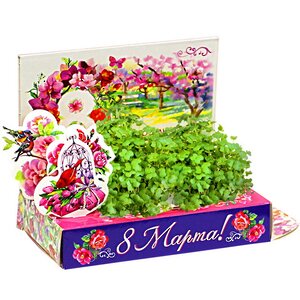 Подарочный набор Живая открытка - С Праздником 8 Марта Happy Plant фото 1