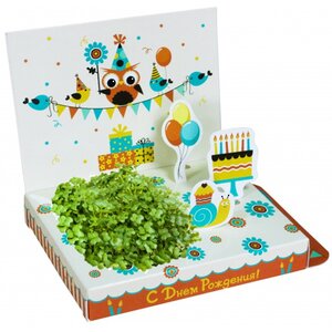 Подарочный набор Живая открытка - С Днём рождения, с совенком Happy Plant фото 1
