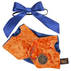 Одежда для Кота Басика 22 см - Оранжевый жилет с часами Budi Basa фото 1