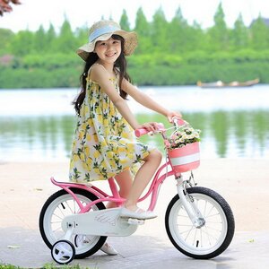 Двухколесный велосипед Royal Baby Little Swan 12" розовый