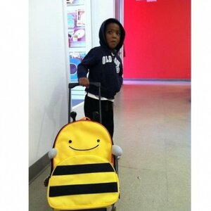 Детский чемодан на колесиках Пчела Бруклин 32*46 см Skip Hop фото 6