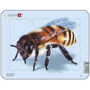 Пазл для малышей Пчела, 5 элементов, 18*14 см LARSEN фото 1
