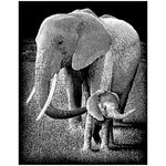 Гравюра серебрянная Слон, 30*20 см