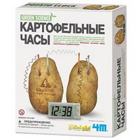 Научный набор "Картофельные часы"