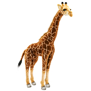 жираф 3623