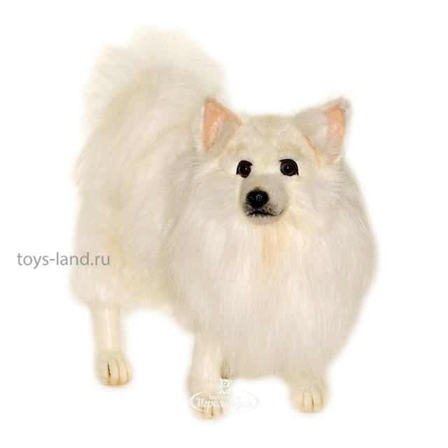 Какие Игрушки Купить Шпицу