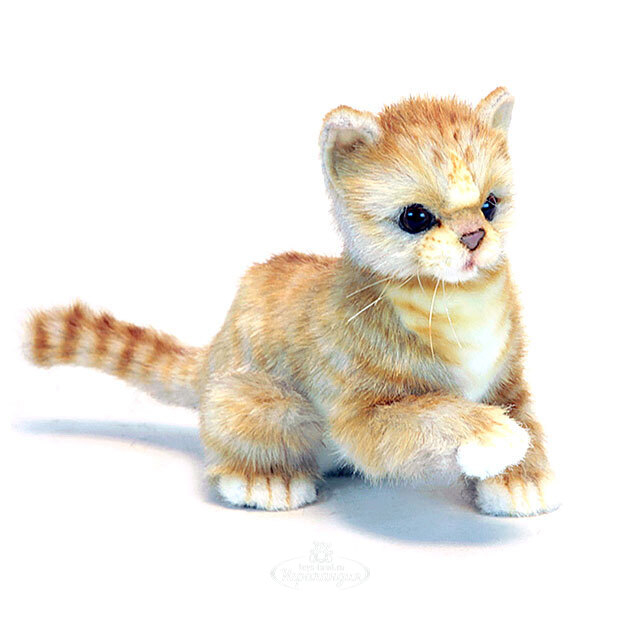 Купить Котика Игрушку В Спб
