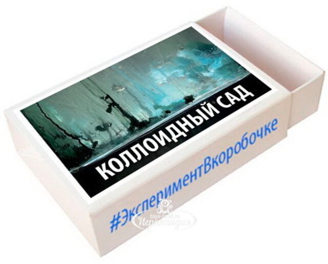 Набор для опытов Эксперимент в коробочке: Коллоидный Сад Простая наука