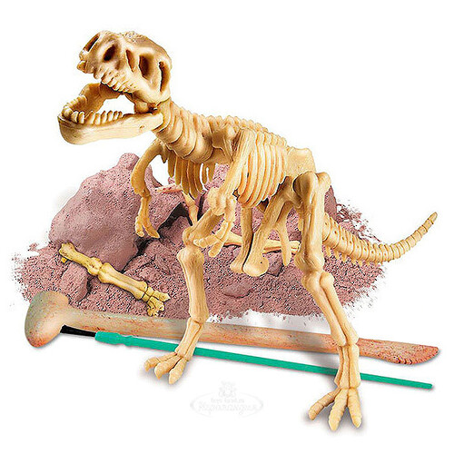 Набор для раскопок Скелет Тираннозавра 4M