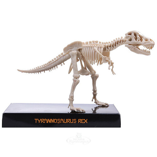 Набор для раскопок Скелет Тираннозавра 4M