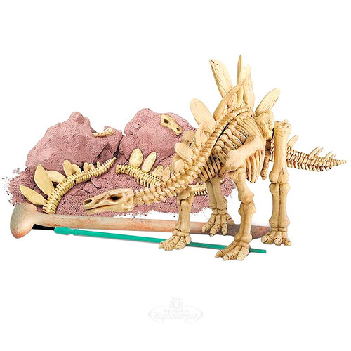 Набор для раскопок Скелет Стегозавра 4M