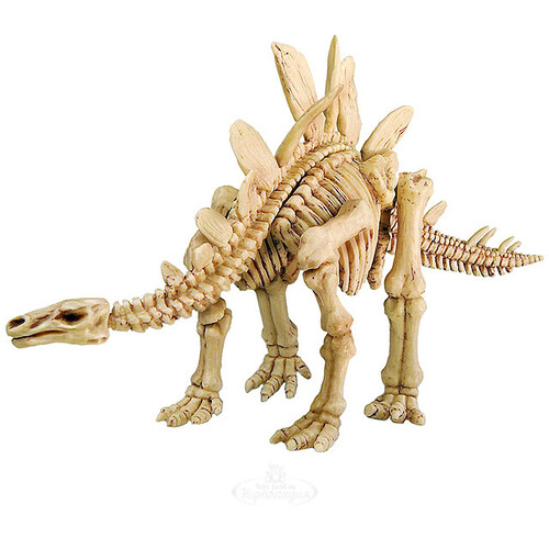 Набор для раскопок Скелет Стегозавра 4M