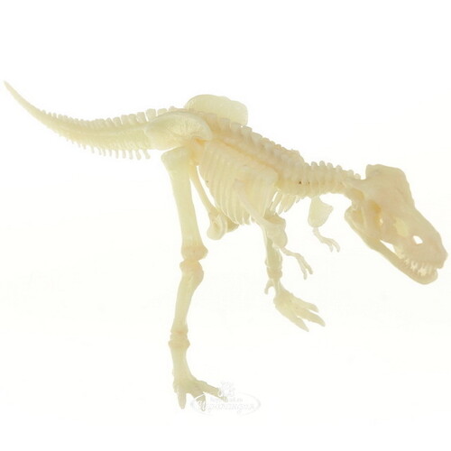 Набор для раскопок Оживи Динозавра - ДНК Тираннозавра с дополненной реальностью 4M